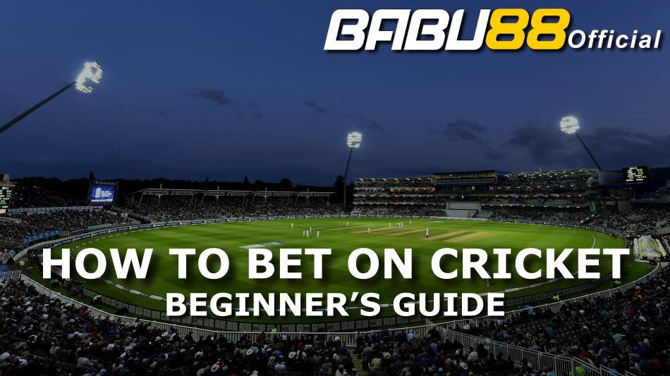 How to Bet on Cricket - Beginners Guide